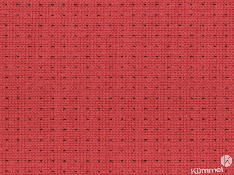 - Kopie